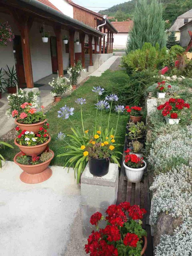 Sator-Hegy Vendeghaz Hotel Abaujszanto Luaran gambar